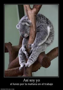 Así soy yo el lunes por la mañana en el trabajo