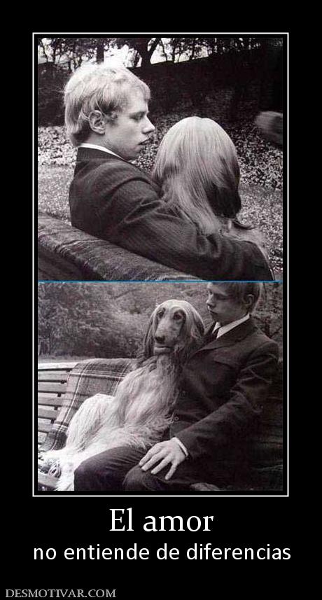 El amor no entiende de diferencias
