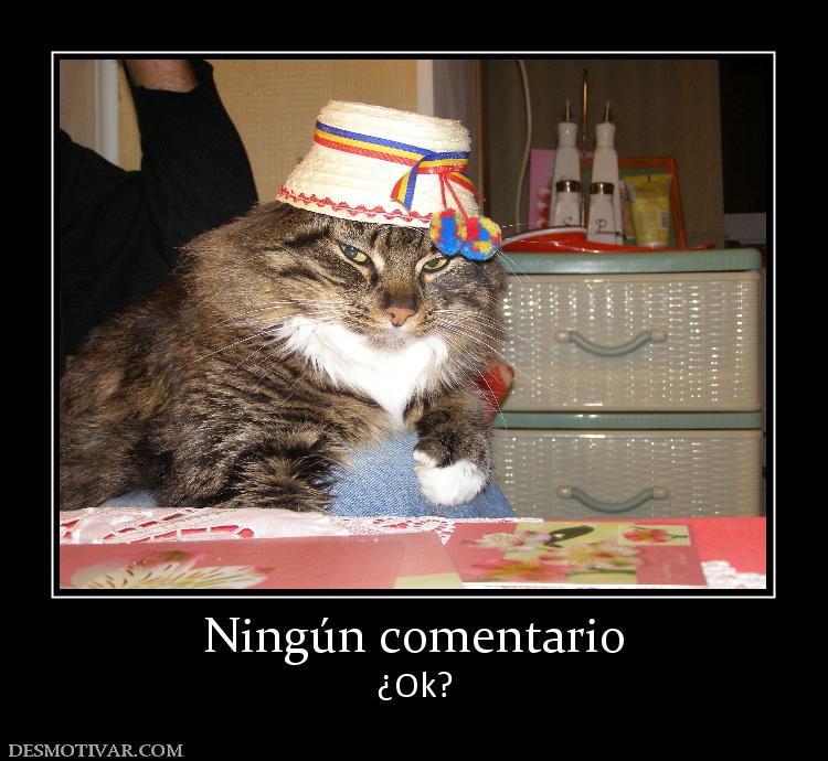 Ningún comentario ¿Ok?