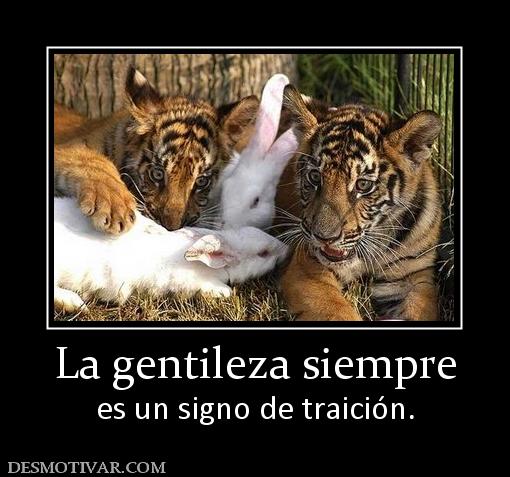 La gentileza siempre es un signo de traición.