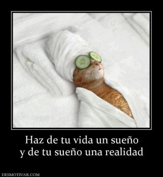 Haz de tu vida un sueño y de tu sueño una realidad