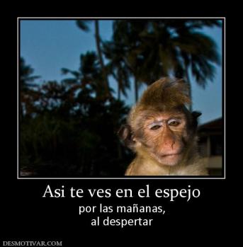 Asi te ves en el espejo por las mañanas, al despertar