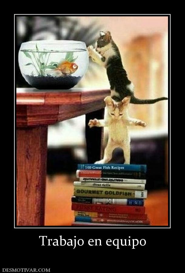 Trabajo en equipo