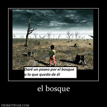 el bosque