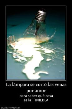 La lámpara se cortó las venas por amor para saber qué cosa es la  TINIEBLA