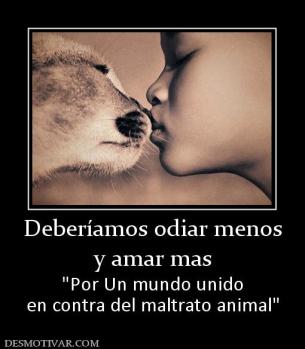 Deberíamos odiar menos y amar mas   en contra del maltrato animal
