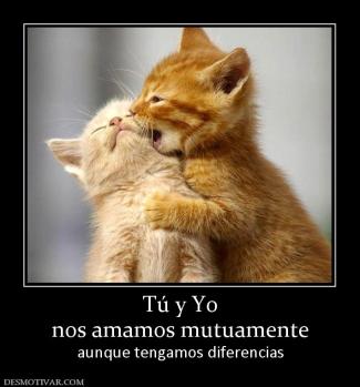 Tú y Yo nos amamos mutuamente aunque tengamos diferencias