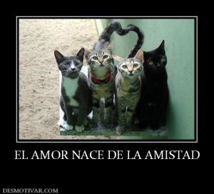 EL AMOR NACE DE LA AMISTAD