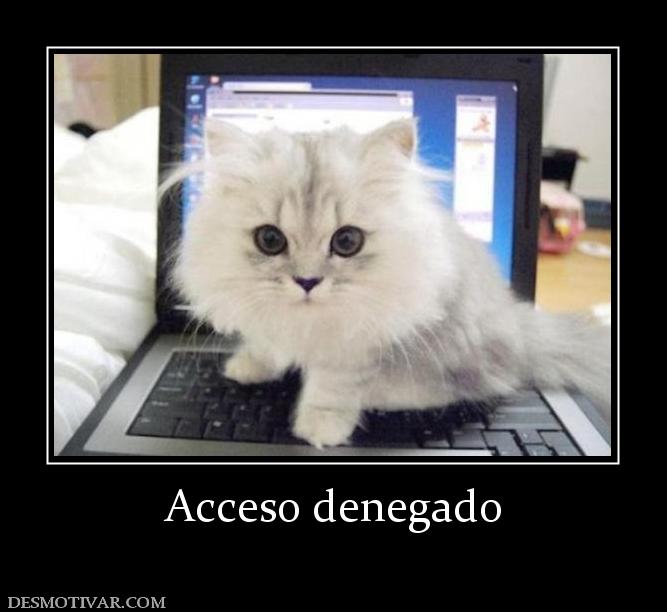 Acceso denegado