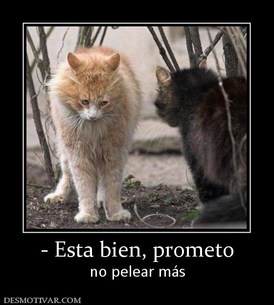 - Esta bien, prometo no pelear más