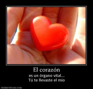 El corazón es un órgano vital... Tú te llevaste el mio