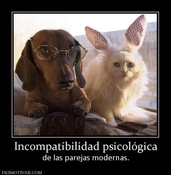 Incompatibilidad psicológica de las parejas modernas.