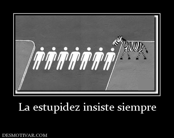 La estupidez insiste siempre