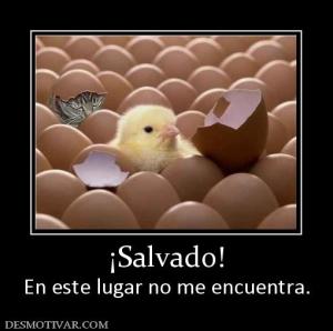 ¡Salvado! En este lugar no me encuentra.