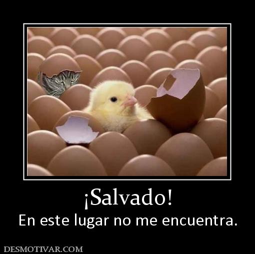 ¡Salvado! En este lugar no me encuentra.