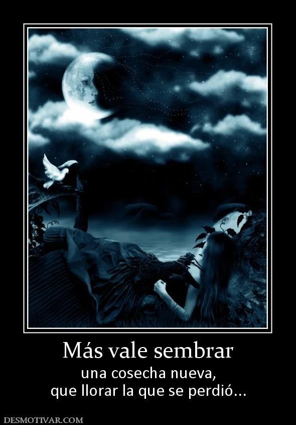 Más vale sembrar una cosecha nueva, que llorar la que se perdió...