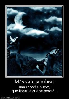 Más vale sembrar una cosecha nueva, que llorar la que se perdió...