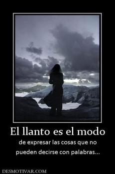 El llanto es el modo de expresar las cosas que no pueden decirse con palabras...