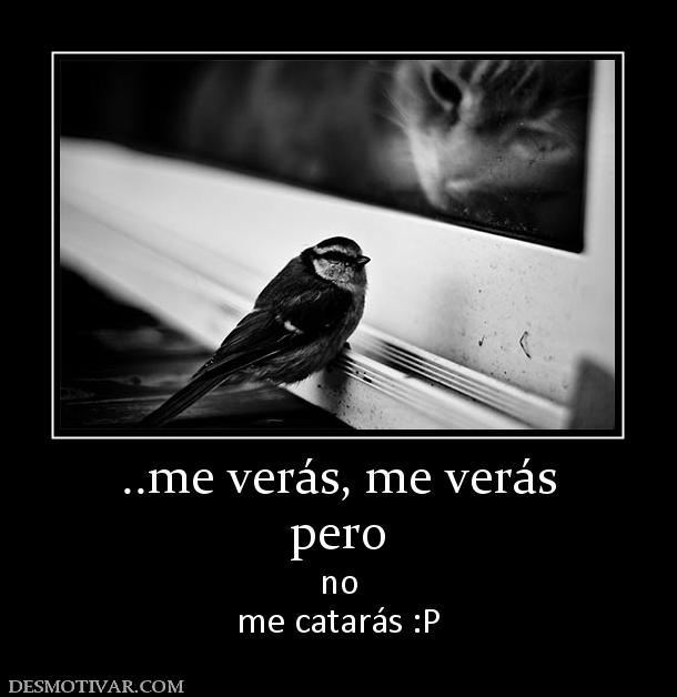 ..me verás, me verás pero  no me catarás :P