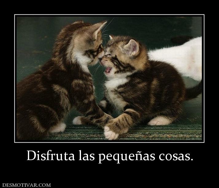Disfruta las pequeñas cosas.
