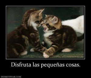 Disfruta las pequeñas cosas.
