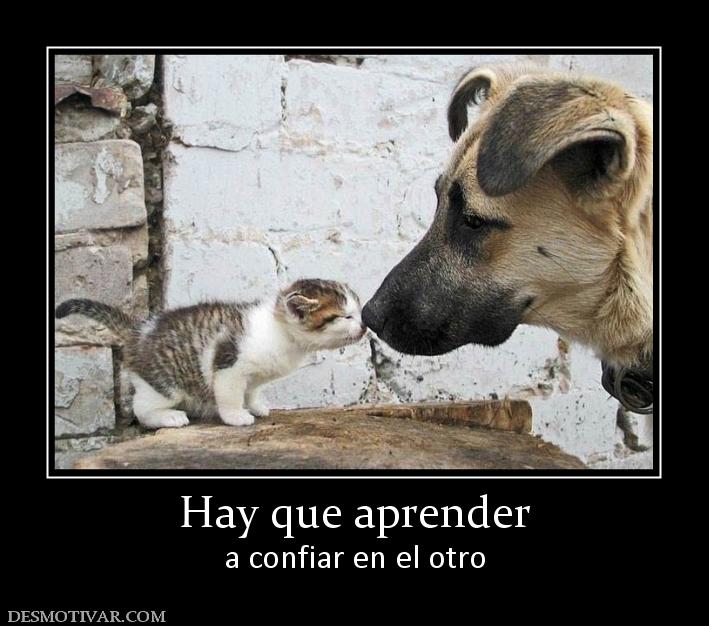 Hay que aprender a confiar en el otro