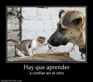 Hay que aprender a confiar en el otro