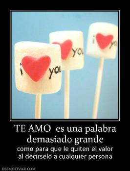 TE AMO  es una palabra demasiado grande como para que le quiten el valor al decirselo a cualquier persona