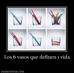 Los 6 vasos que definen 1 vida