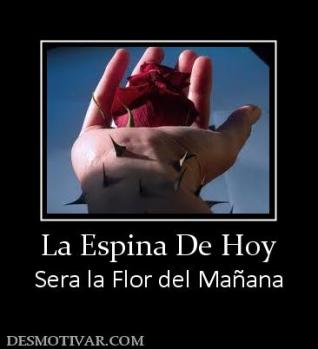 La Espina De Hoy Sera la Flor del Mañana