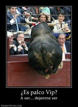 ¿Es palco Vip? A ver... dejenme ver