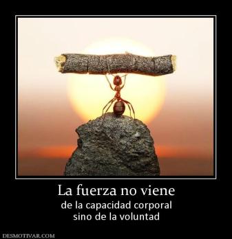 La fuerza no viene de la capacidad corporal sino de la voluntad
