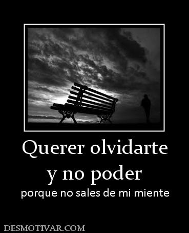 Querer olvidarte y no poder  porque no sales de mi miente