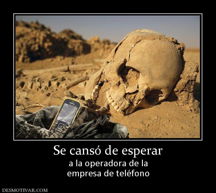 Se cansó de esperar a la operadora de la empresa de teléfono