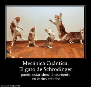 Mecánica Cuántica. El gato de Schrodinger  puede estar simultáneamente  en varios estados