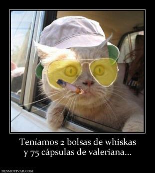 Teníamos 2 bolsas de whiskas y 75 cápsulas de valeriana...