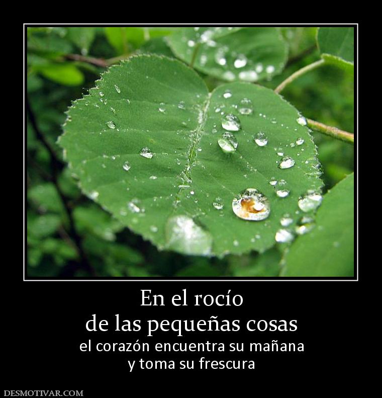 En el rocío de las pequeñas cosas el corazón encuentra su mañana y toma su frescura