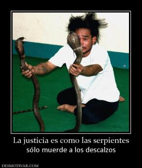 La justicia es como las serpientes sólo muerde a los descalzos