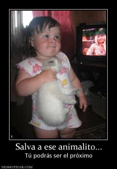 Salva a ese animalito... Tú podrás ser el próximo