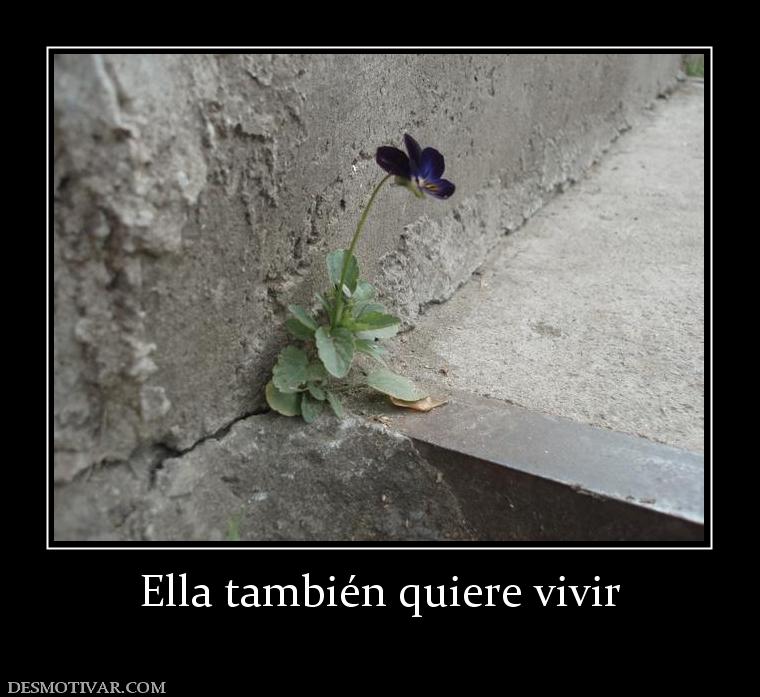 Ella también quiere vivir