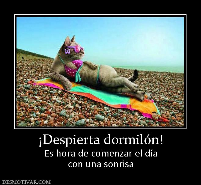 ¡Despierta dormilón! Es hora de comenzar el día con una sonrisa
