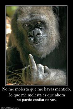 No me molesta que me hayas mentido,  lo que me molesta es que ahora  no puedo confiar en vos.