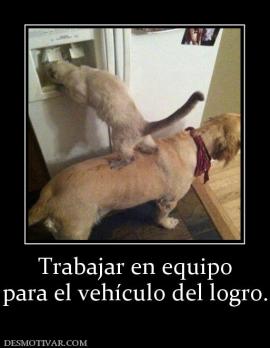 Trabajar en equipo para el vehículo del logro.