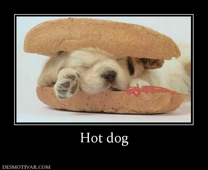 Hot dog
