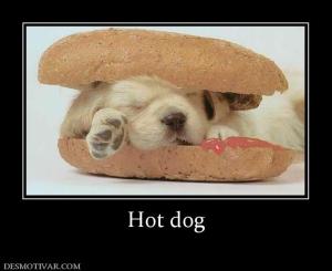 Hot dog