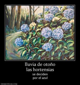 lluvia de otoño las hortensias se deciden por el azul