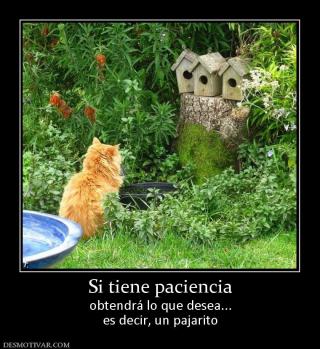 Si tiene paciencia obtendrá lo que desea... es decir, un pajarito