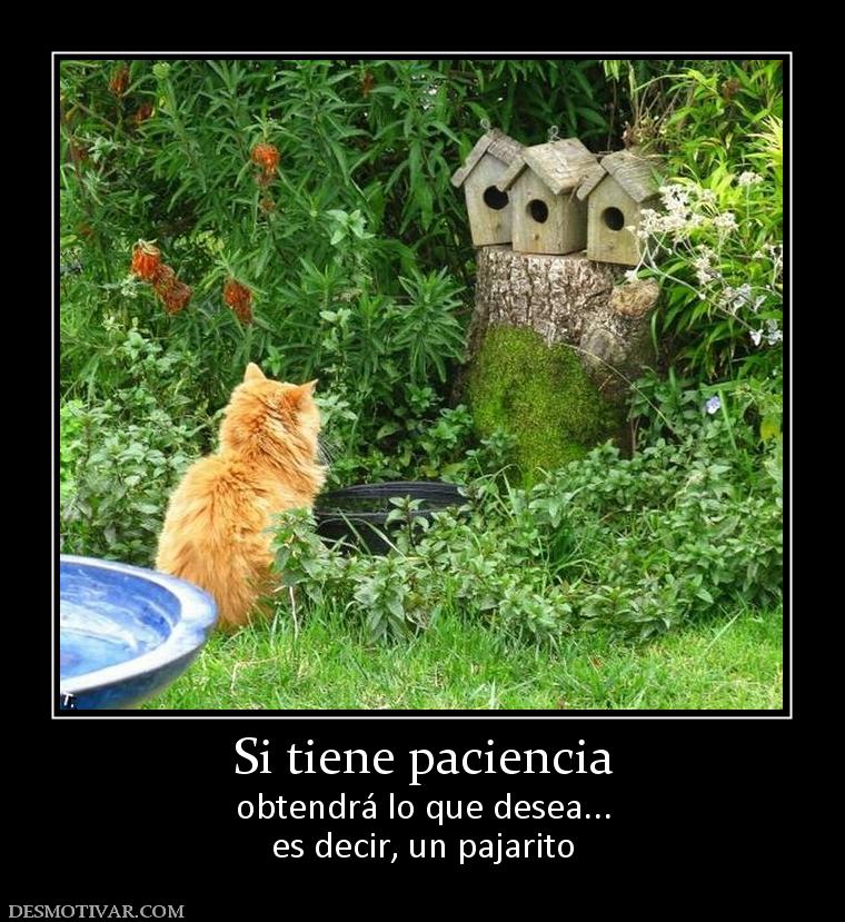 Si tiene paciencia obtendrá lo que desea... es decir, un pajarito
