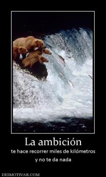 La ambición te hace recorrer miles de kilómetros y no te da nada