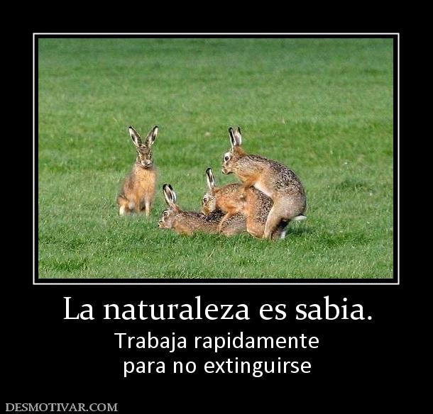 La naturaleza es sabia. Trabaja rapidamente para no extinguirse